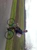 tour de jitrnice